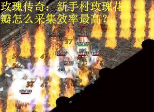 玫瑰传奇：新手村玫瑰花瓣怎么采集效率最高？