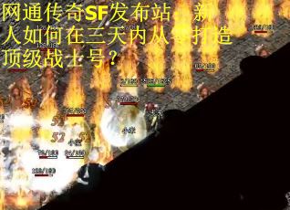 网通传奇SF发布站：新人如何在三天内从零打造顶级战士号？