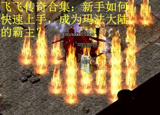 飞飞传奇合集：新手如何快速上手，成为玛法大陆的霸主？