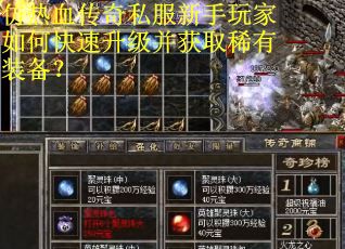 仿热血传奇私服新手玩家如何快速升级并获取稀有装备？