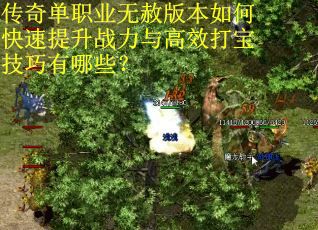 传奇单职业无赦版本如何快速提升战力与高效打宝技巧有哪些？
