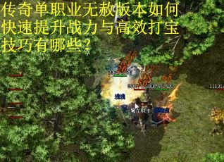 传奇单职业无赦版本如何快速提升战力与高效打宝技巧有哪些？