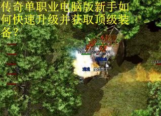 传奇单职业电脑版新手如何快速升级并获取顶级装备？