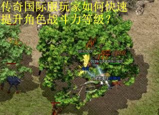 传奇国际服玩家如何快速提升角色战斗力等级？