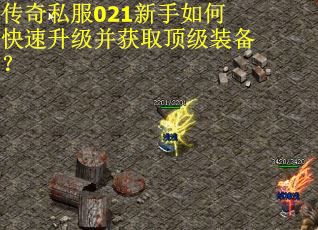 传奇私服021新手如何快速升级并获取顶级装备？