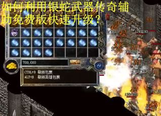 如何利用银蛇武器传奇辅助免费版快速升级？