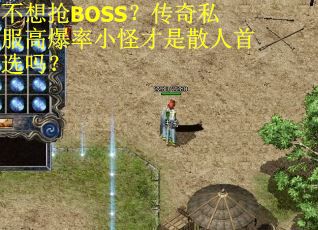 不想抢BOSS？传奇私服高爆率小怪才是散人首选吗？