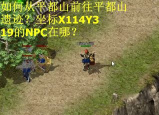 如何从平都山前往平都山遗迹？坐标X114Y319的NPC在哪？