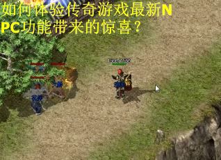 如何体验传奇游戏最新NPC功能带来的惊喜？