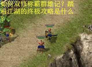 如何双修称霸群雄记？踏遍江湖的终极攻略是什么？