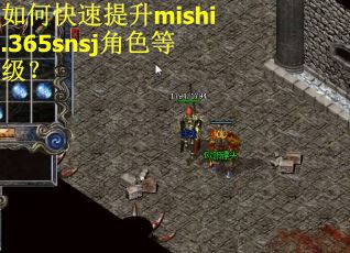 如何快速提升mishi.365snsj角色等级？