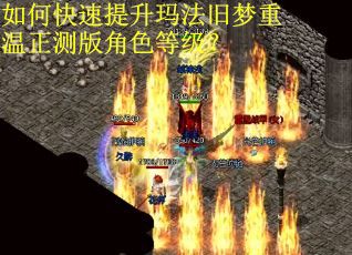 如何快速提升玛法旧梦重温正测版角色等级？