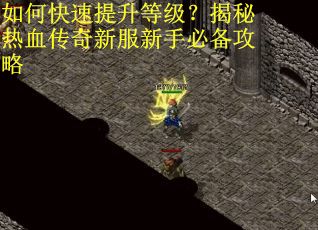 如何快速提升等级？揭秘热血传奇新服新手必备攻略