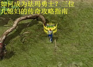 如何成为珐玛勇士？三位儿媳妇的传奇攻略指南