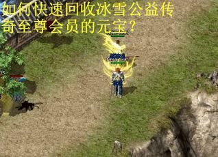 如何快速回收冰雪公益传奇至尊会员的元宝？